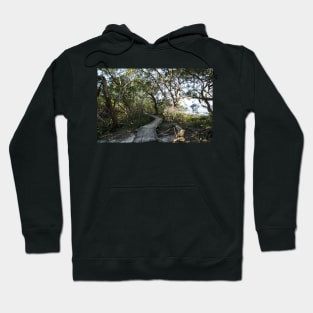 Boardwalk into the mangroves Hoodie